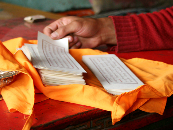 Sur les sources primaires de l'Ayurveda